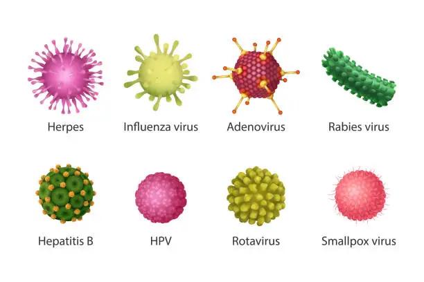 Vector illustration of Virus set. Isolated vector illustration