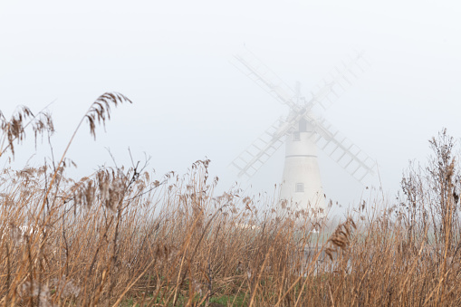 Thurne mill beyond the reedbeds on a misty morning in the Norfolk Broads Thurne, Feb 2023