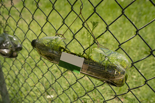 Recycled plastic bottle, hanging from a metal mesh in a park, used as a flower pot with green plants growing inside