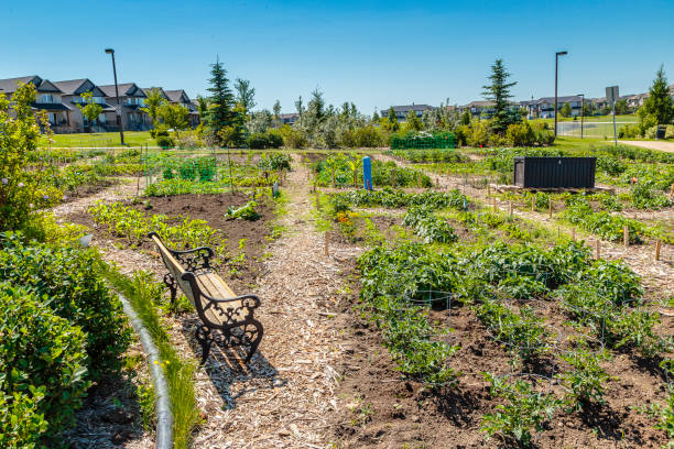 istock Peter Zakreski Park 1938037483