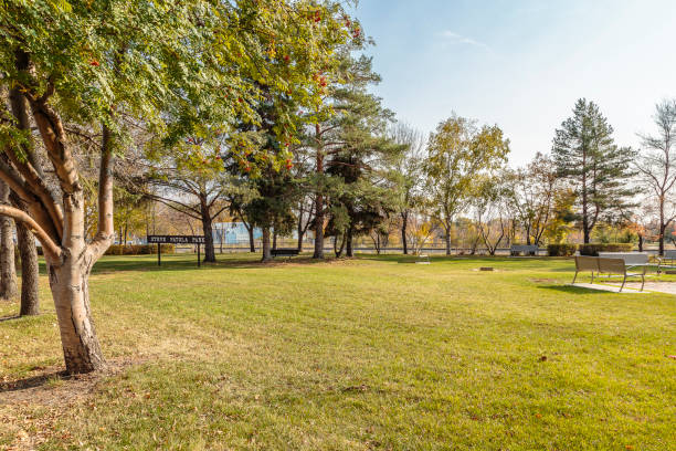 istock Steve Patola Park 1938068939