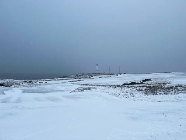 istock Torry In The Snow 1938074847