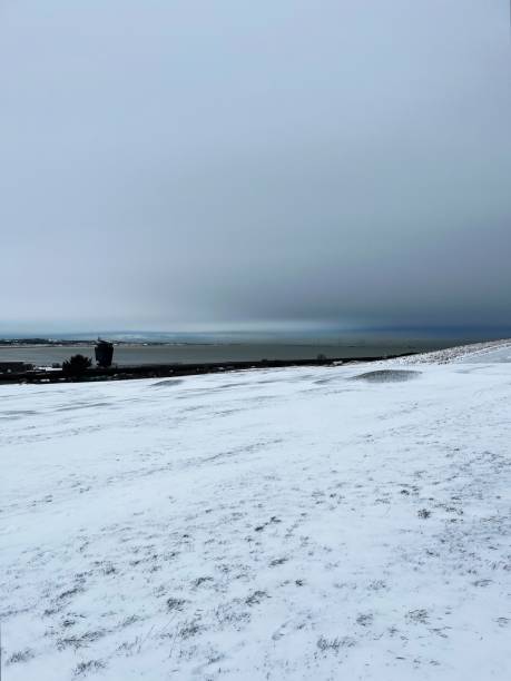 istock Torry In The Snow 1938081841