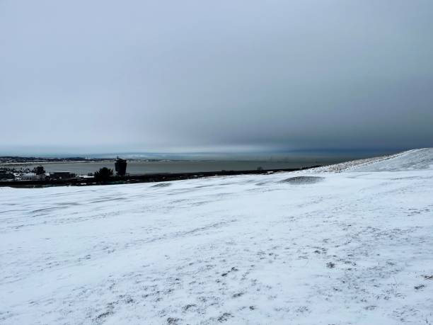 istock Torry In The Snow 1938082357