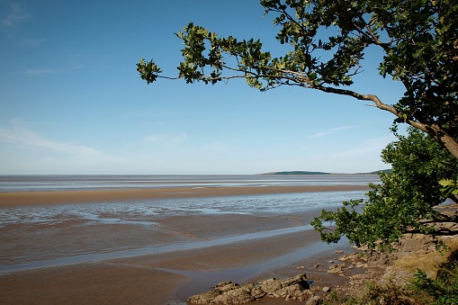 View along the estuary at low tide with stony shore and trees on the banks of the water with blue sky in summer