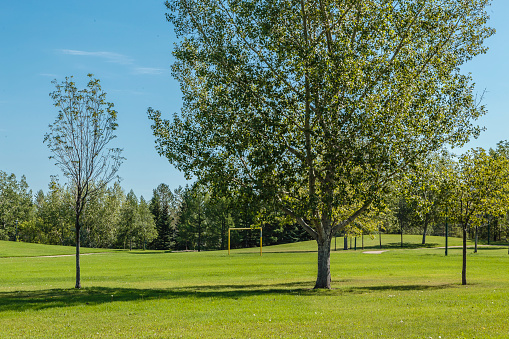 Silverspring Park is located in the Silverspring neighborhood of Saskatoon.