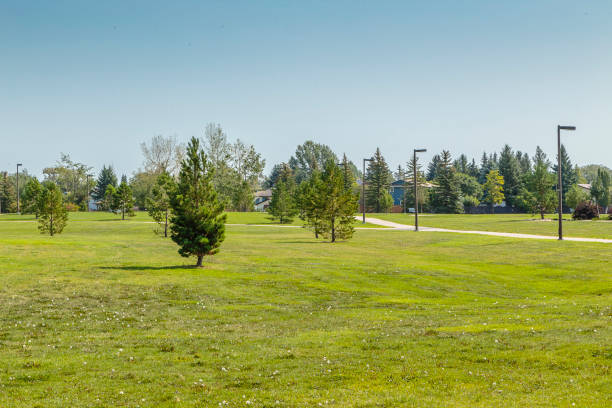 istock W.J.L Harvey Park North 1938141954