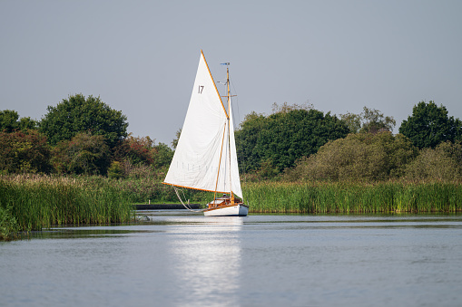 Sailboat sailing on a sunny day in the Norfolk Broads iv September, 2023