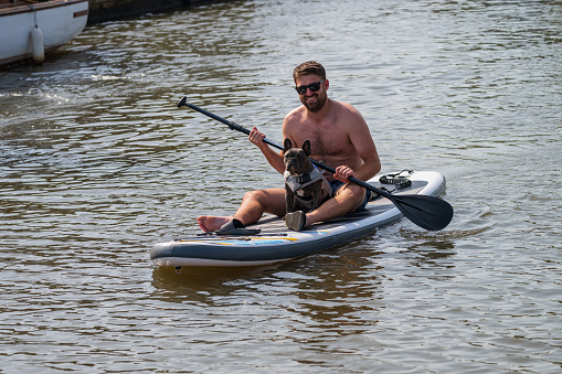 One man and his dog paddling along a river on a stand up paddle board in the Norfolk Broads September, 2023