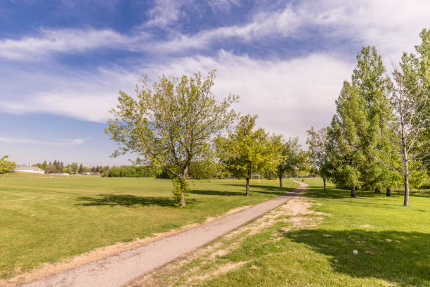 istock James Anderson Park 1938204415