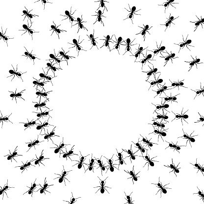group of ants around an empty circle background