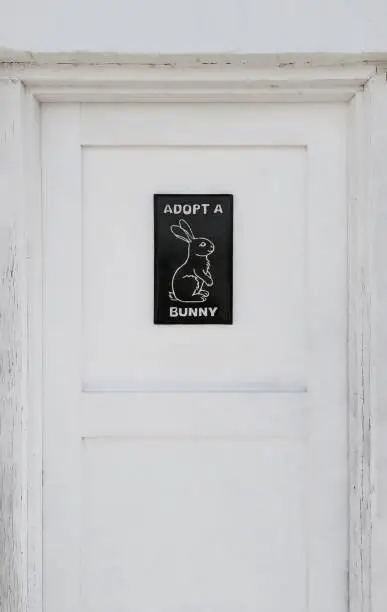 Adopt a bunny rabbit sign centered on an old white wooden door.