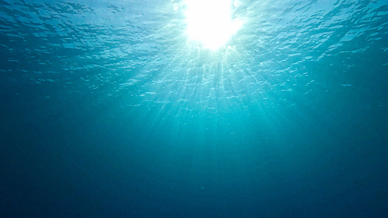 Looking up at the sun from the bottom of the ocean.