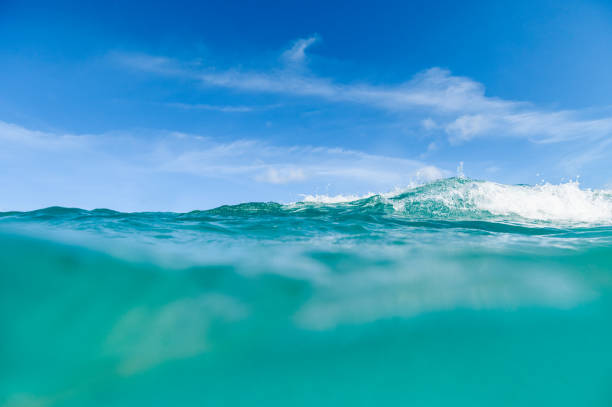 istock Ocean scenic underwater sea and sky copy space 1938302925