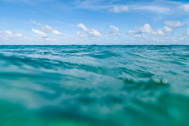istock Ocean scenic underwater sea and sky copy space 1938304988
