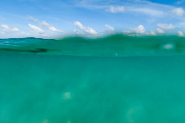 istock Ocean scenic underwater sea and sky copy space 1938306017