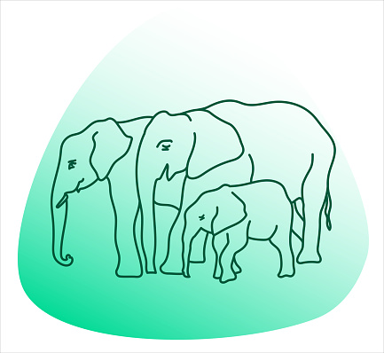 Elephant family, simple line drawing in vector format