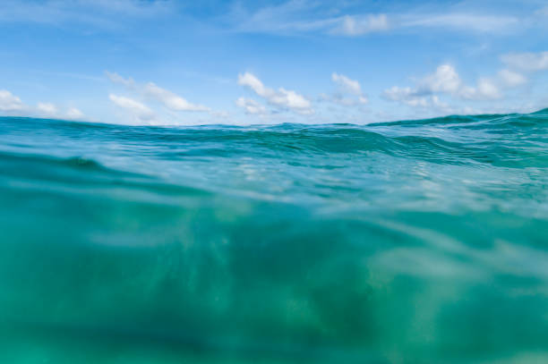 istock Ocean scenic underwater sea and sky copy space 1938310125