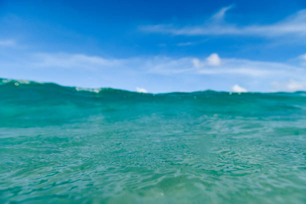 Ocean scenic