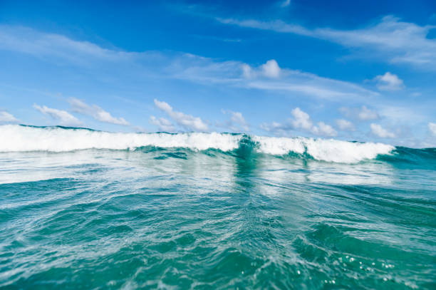 istock Ocean scenic underwater sea and sky copy space 1938321075