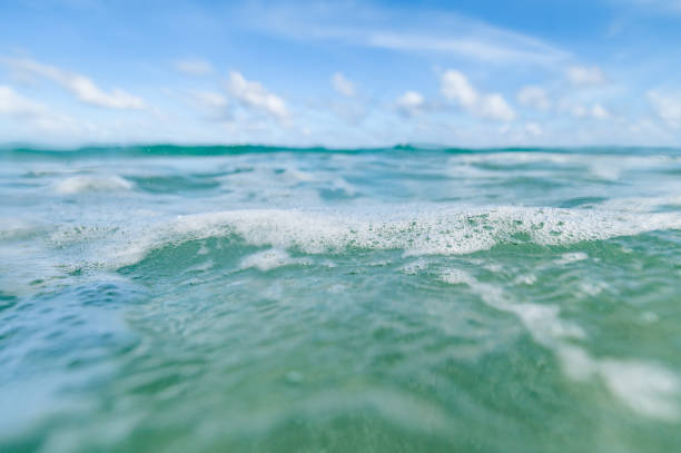 istock Ocean scenic underwater sea and sky copy space 1938327748