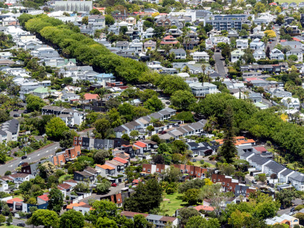 istock Central Auckland, famous Franklin Road covered with trees 1938370286