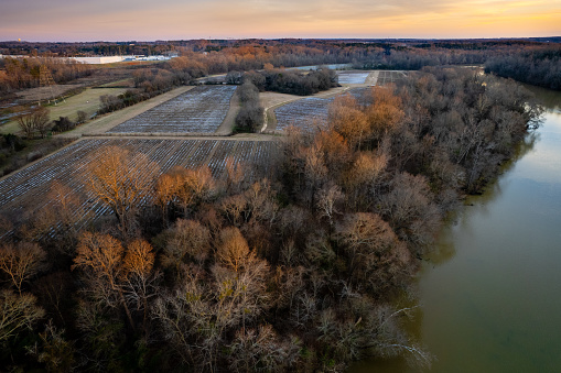 Top down view of agricultural fileds along Catawaba River at sunset in winter
