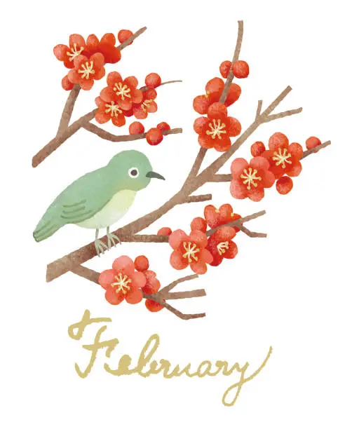 Vector illustration of Birds and flowers in February - white-eye and red plum