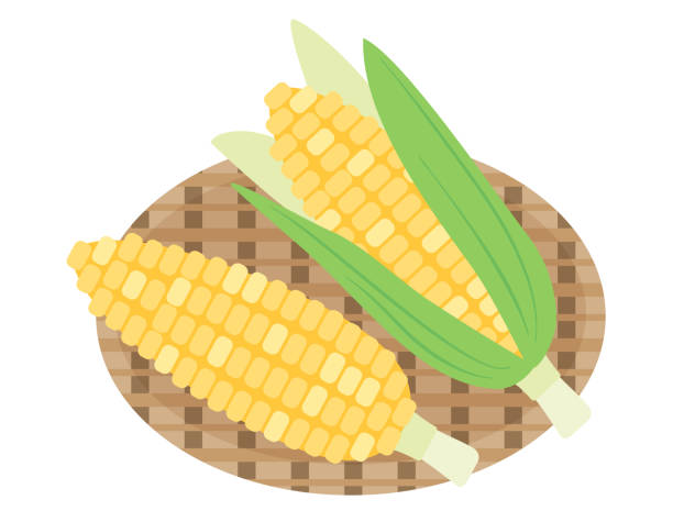 illustrazioni stock, clip art, cartoni animati e icone di tendenza di mais su un cesto di bambù - corn on the cob corn corn crop white background
