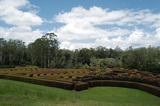 The beautifully designed Bago Maze with lush green lawns at Port Macquarie