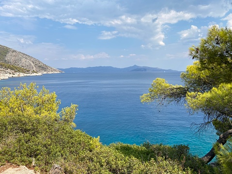 View of the clear blue Aegean Sea through pine trees on a cliff on the Greek island of Agistri in the Saronic Gulf on a sunny summer day