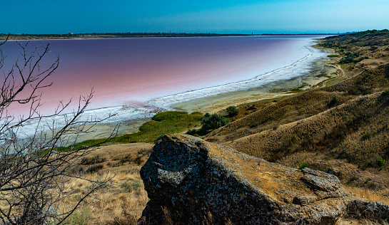 Natural landscape of the south of Ukraine, View of the drying Kuyalnitsky estuary with rose water, in which Artemia salina and Dunaliella algae live
