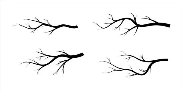 Vector illustration of tree branch silhouette collection