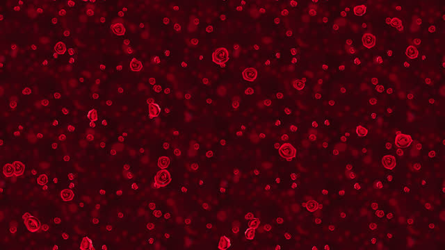 Roses Red flower Loop Tile Falling Background. This romantic 3d animation for Valentines day is loopable and tileable.