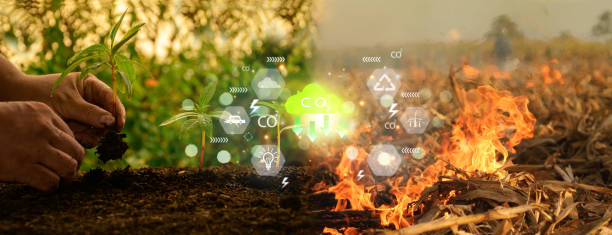 istock World Earth Day environmental concept. Hand planting trees with fire, forest burning Co2 icons. Ecological circular conservation, sustainable development, environmental friendliness, green business. 1938653945