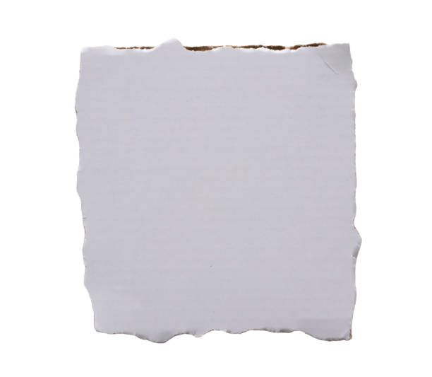 istock piece of white paper tear isolated on white background 1938663530