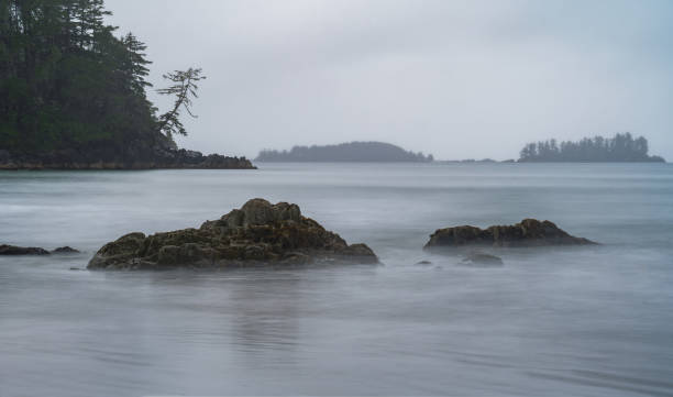 istock Tofino Tonquin Beach 1938665131