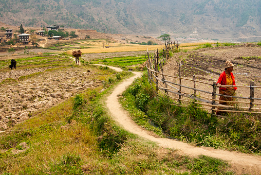 Bumthang, Bhutan - April 23,  2008: A female Bhutanese farmer leans on a fence overlooking her crops while a man with a heavy load on his back walks along a dirt path toward homes in Sopsokha village,  Asia