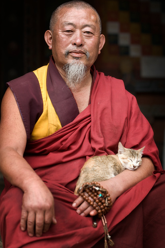 Bumthang Valley, Bhutan - April 17, 2008: A senior aged bearded monk sits on the steps of Trongsa dzong with a sleeping cat nestled in his arms