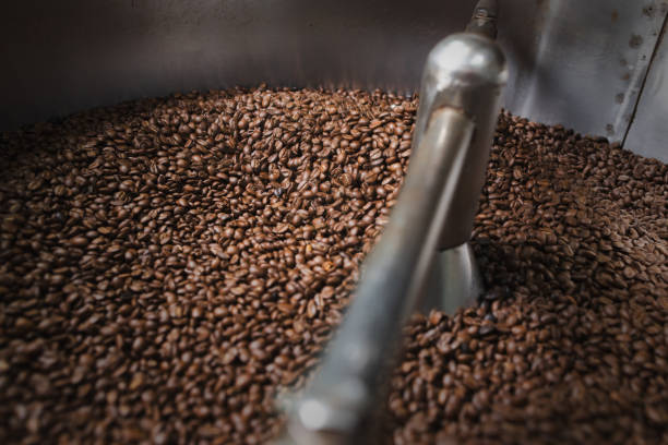 istock Medium Roast coffee beans roasting process.Medium-brown color, may have some oil on the surface of the beans. 1938748064