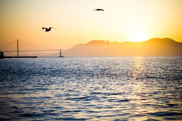 Golden Gate Bridge at Sunset from Pier 39, San Francisco in San Francisco, California, United States