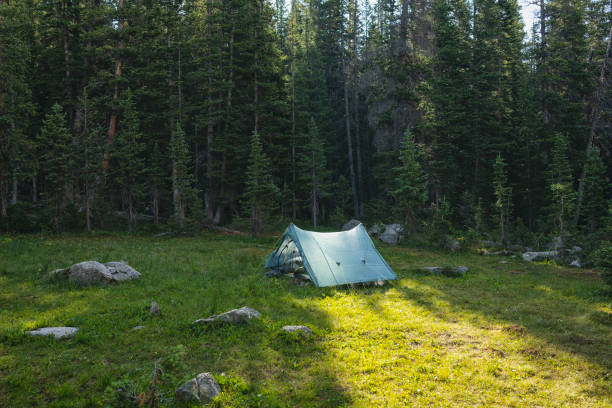 istock Secluded camping tent in serene forest wilderness 1938822110