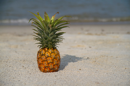 Ripe pineapples on the sandy tropical beach with clear blue sky. Leisure in summer and Summer vacation concept.