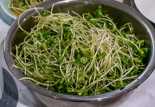 organic bean sprouts