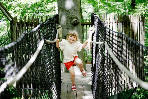 Cute little preschool girl walking on high tree-canopy trail with wooden walkway and ropeways. Happy active child exploring treetop path. Funny activity for families outdoors.