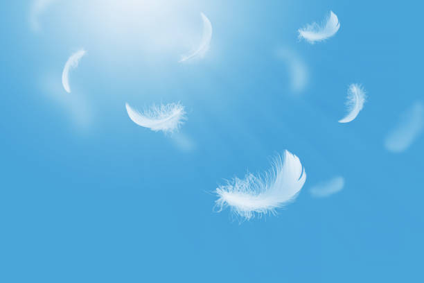 istock Abstract White Bird Feathers Floating in A Blue Sky. Softness of Feathers falling in Heavenly. 1939030771