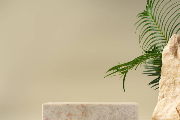 istock Granite stone with branch green leaf on beige background 1939032305