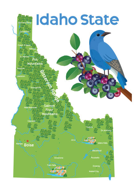 mapa stanu idaho i bluebird - moscow river stock illustrations