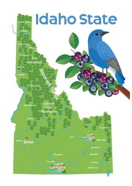 Vector illustration of Idaho State Map and Bluebird