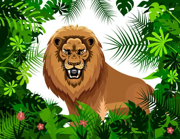 Vector illustration of Lion roaring in the thickets of the jungle.